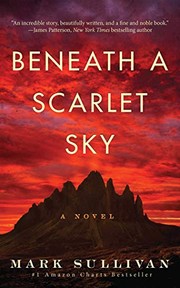 Beneath a scarlet sky : a novel  Cover Image