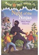 Night of the ninjas  Cover Image