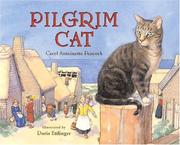 Pilgrim cat  Cover Image