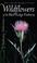 Go to record Wildflowers of the Blue Ridge Parkway