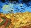 Go to record Van Gogh's van Goghs : masterpieces from the Van Gogh Muse...