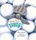 Go to record One tiny turtle
