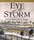 Go to record Eye of the storm : a Civil War odyssey
