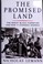 Go to record The promised land : the great Black migration and how it c...