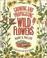 Go to record Growing and propagating wild flowers