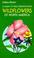 Go to record Wildflowers of North America : a guide to field identifica...
