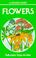 Go to record Flowers : a guide to familiar American wildflowers