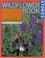 Go to record The wildflower book : east of the Rockies : an easy guide ...