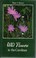 Go to record Wild flowers in the Carolinas