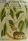 Go to record The art of natural history : animal illustrators and their...