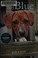 Go to record Little boy Blue : a puppy's rescue from death row and his ...