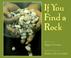 Go to record If you find a rock
