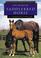Go to record The American saddlebred horse