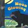 Go to record Moon glowing