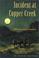 Go to record Incident at Copper Creek