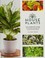 Go to record Houseplants : the complete guide to choosing, growing, and...