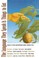 Go to record The Language they speak is things to eat : poems by fiftee...