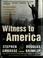 Go to record Witness to America : an illustrated documentary history of...