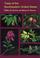 Go to record Trees of the southeastern United States