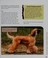 Go to record Training the hard-to-train dog : effective training techni...