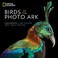 Go to record Birds of the photo ark
