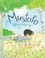Go to record Mustafa