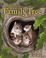 Go to record Squirrel's family tree