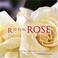 Go to record R is for rose : reflections from a passionate rose lover