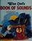 Go to record Wise Owl's book of sounds