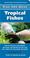 Go to record The 101 best tropical fishes : how to choose & keep hardy,...