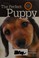 Go to record The perfect puppy : how to raise a well-behaved dog / Gwen...