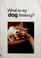 Go to record What is my dog thinking?