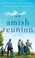 Go to record An Amish reunion four stories
