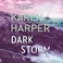 Go to record Dark storm