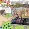 Go to record Joining the dots : the art of Seurat