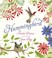 Go to record Hummingbird