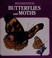 Go to record Butterflies and moths