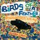 Go to record Birds of a feather : bowerbirds and me