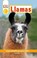 Go to record Llamas