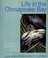 Go to record Life in the Chesapeake Bay