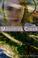 Go to record The stones of Mourning Creek / Diane Les Becquets.