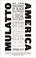 Go to record Mulatto America : at the crossroads of black and white cul...