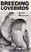 Go to record Breeding lovebirds