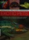 Go to record Exotic Pets : Practical Pet Care Handbook; Everything You ...