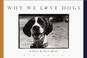 Go to record Why we l[o]ve dogs : a bark & smile book