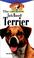 Go to record The Jack Russell terrier