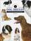 Go to record Identifying dog breeds