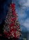 Go to record O Christmas tree.