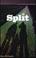 Go to record Split : a counterculture childhood
