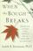 Go to record When the bough breaks : forever after the death of a son o...
